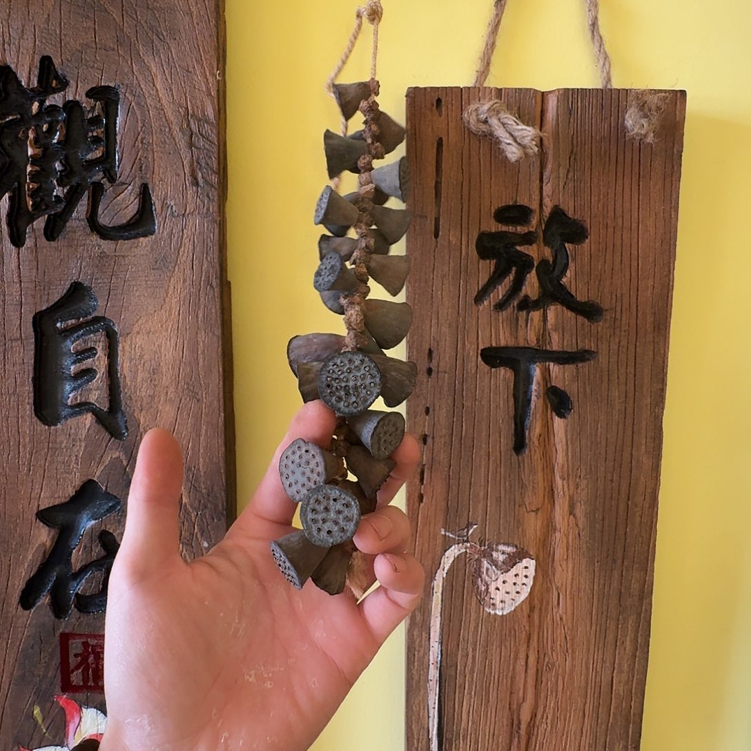 晒干花蕊一串26个