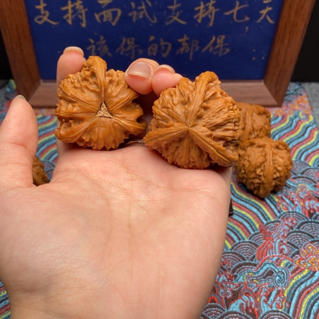 【闪购商品】-*華白狮