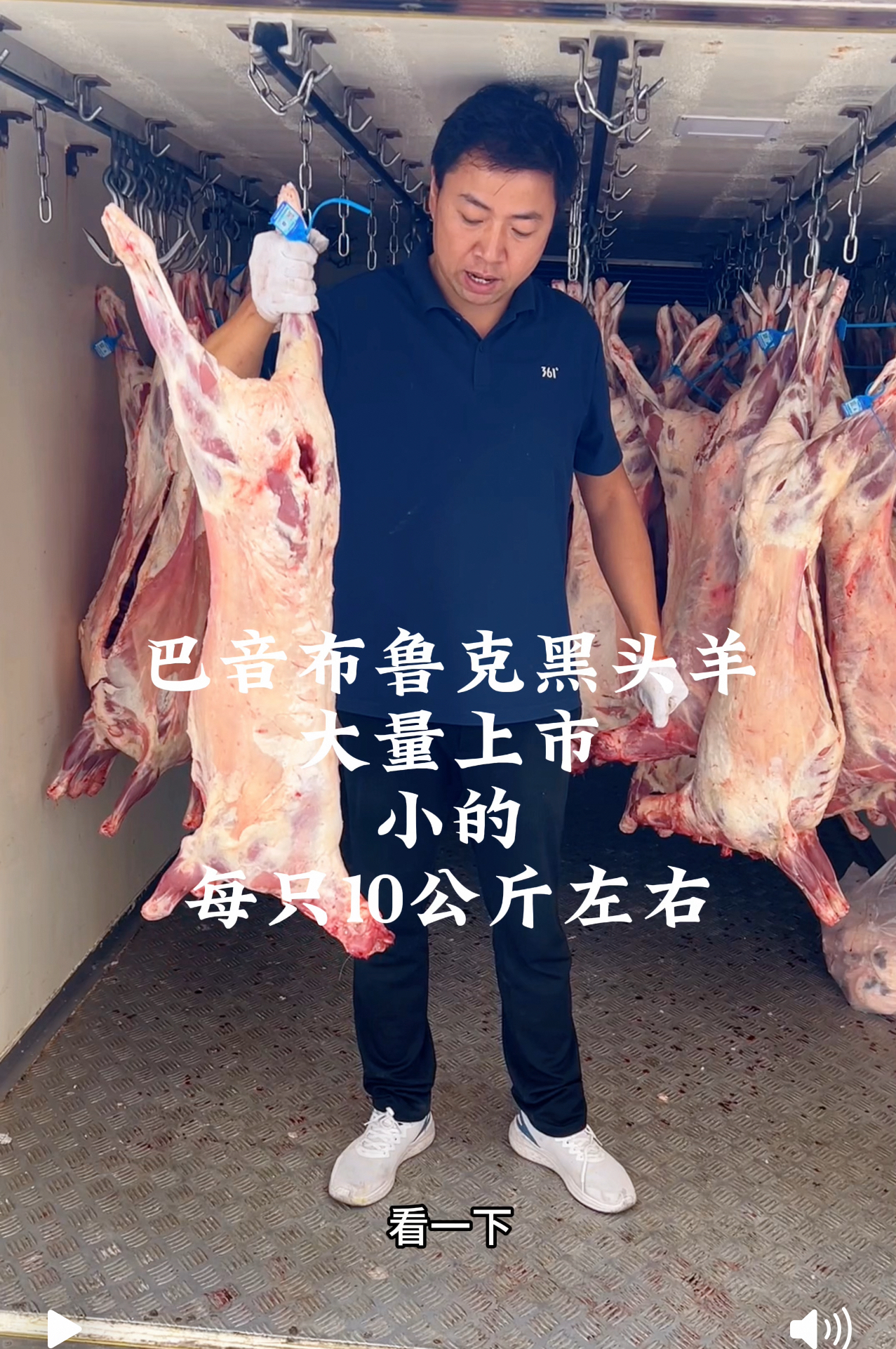 巴音布鲁克黑头羊