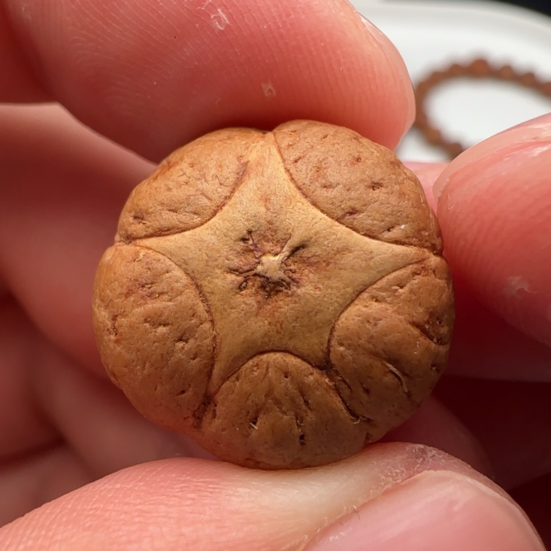 吊坠麒麟眼菩提特价款五星