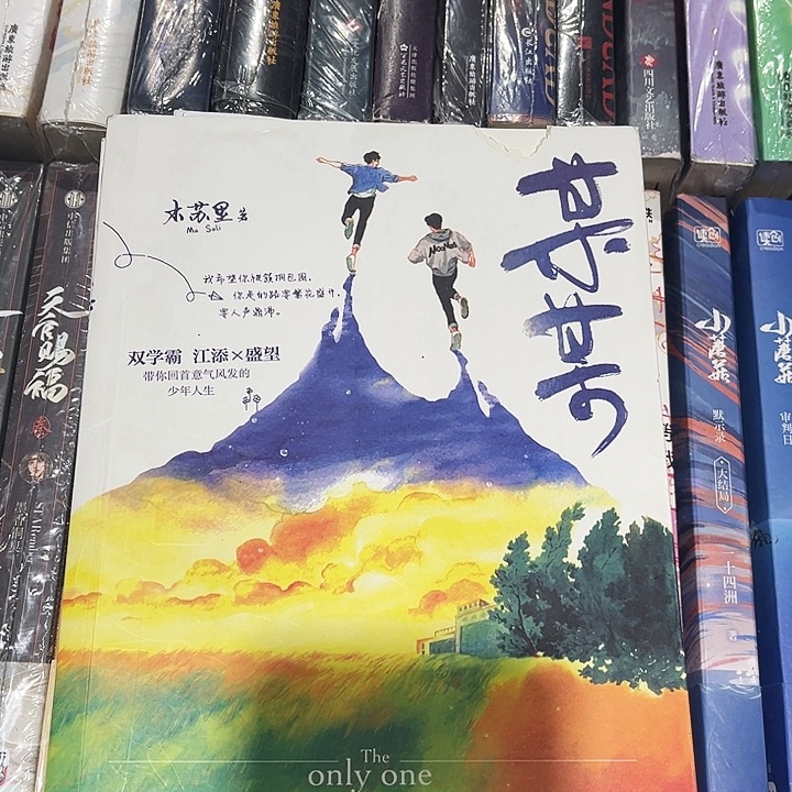 某某全新全套三本带周边未删减