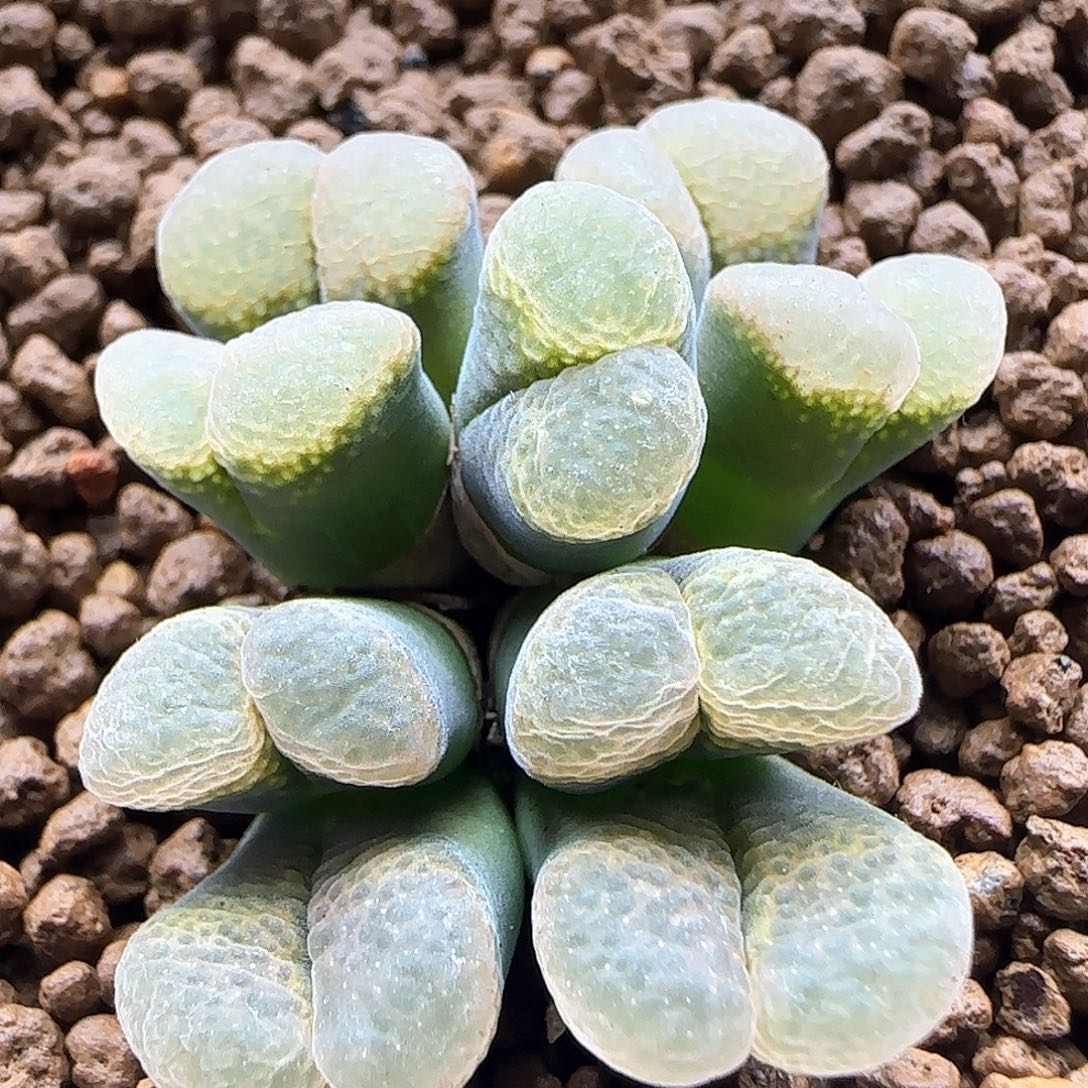 哈哈哈哈哈哈哈48738