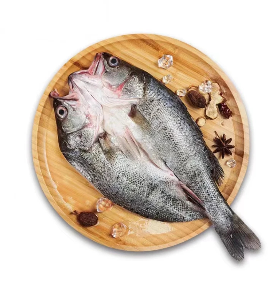 【张哈哈‖新疆包邮】海鲈鱼开背活鱼宰杀白蕉净膛净550g左右大鲈鱼