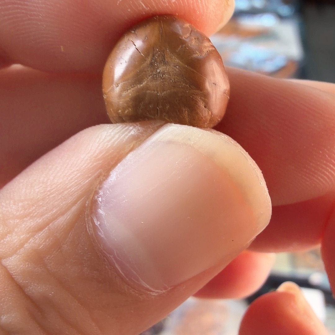 吊坠凤眼菩提3493