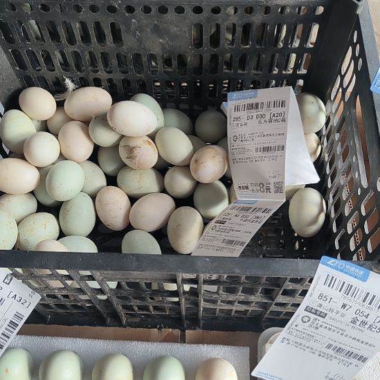 小***姐包装中国大陆1500鸭蛋
