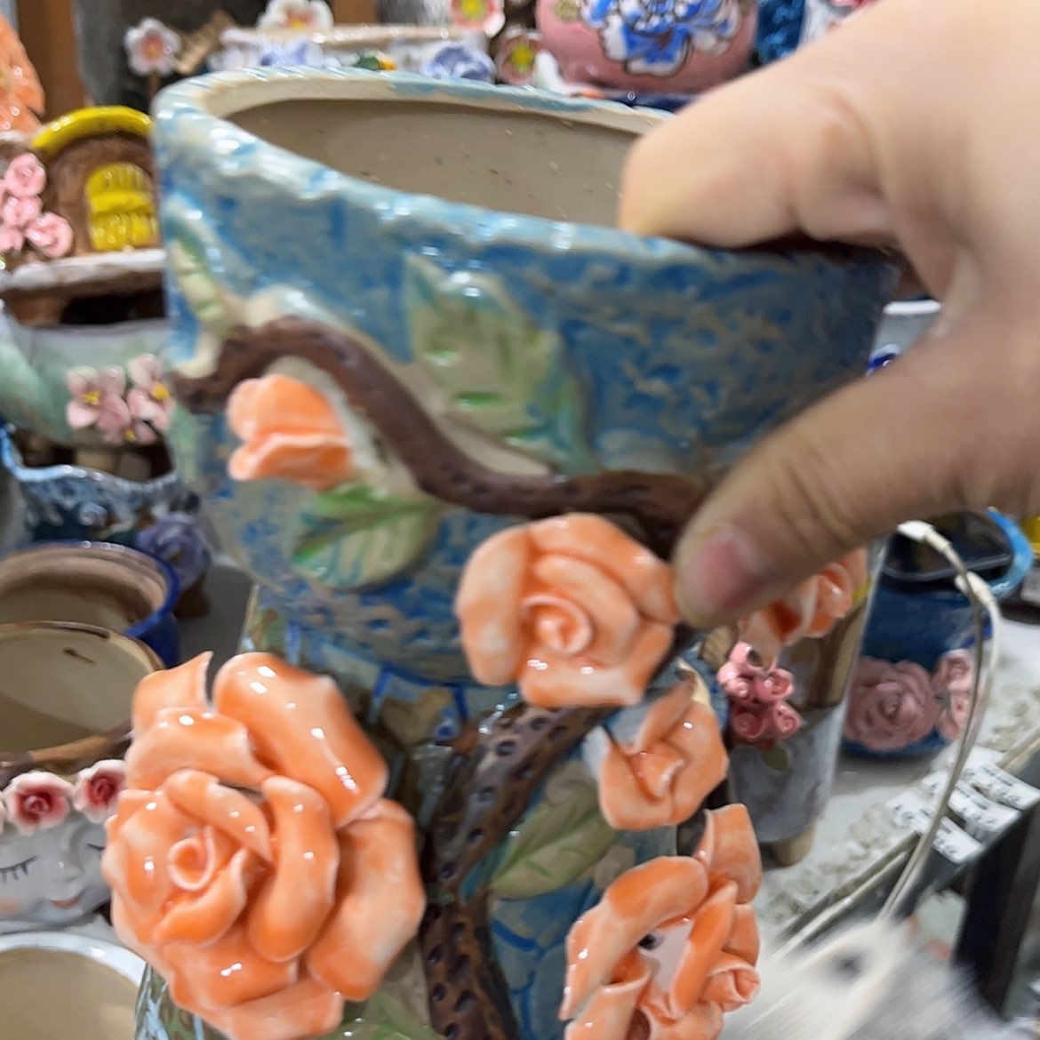 【闪购商品】红陶福利