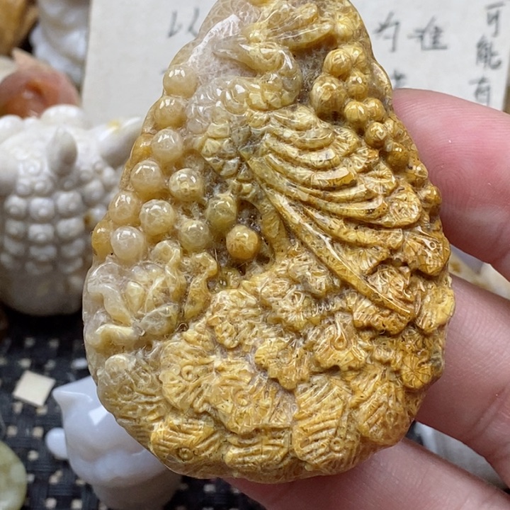 颈饰未镶嵌硅化珊瑚（珊瑚玉）