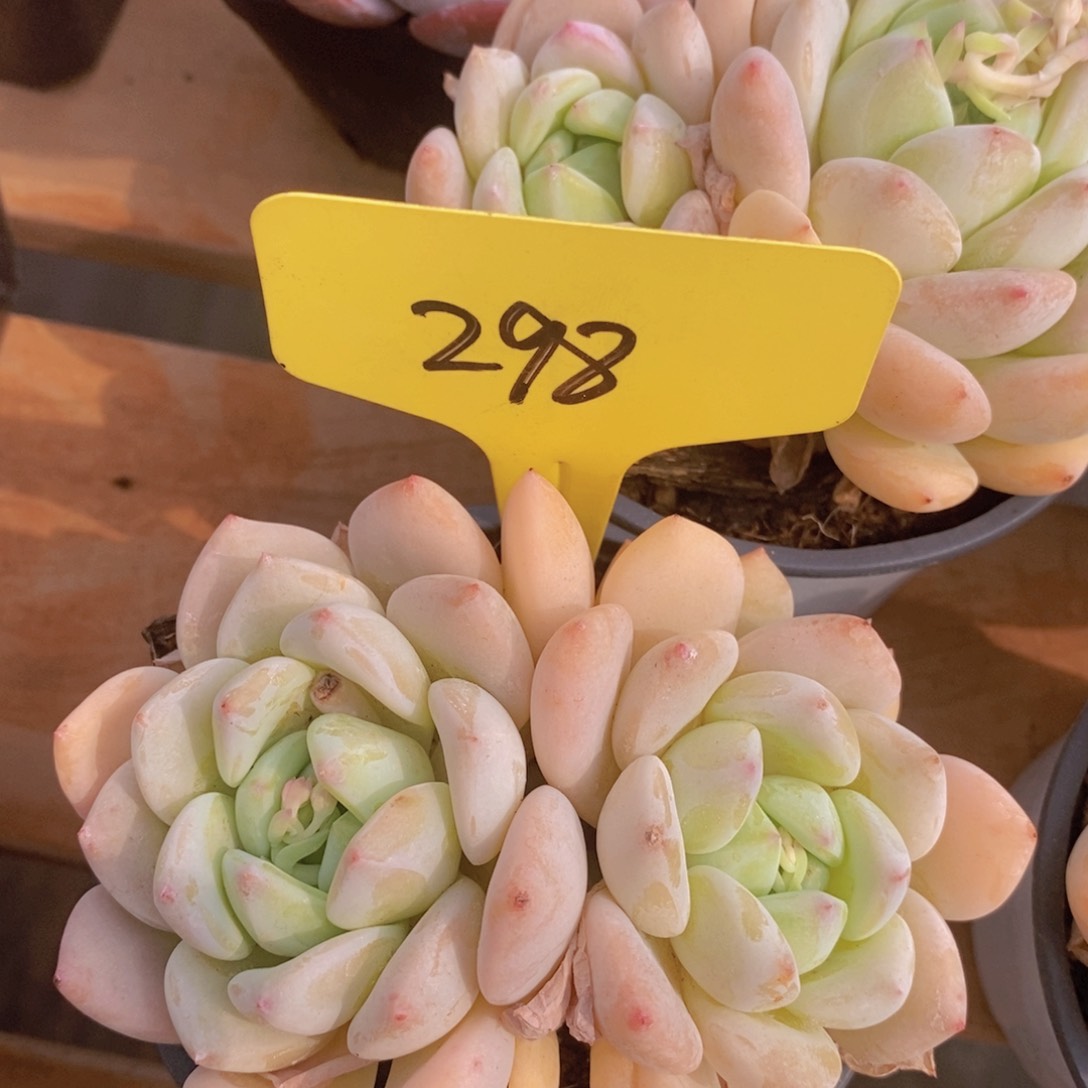 周末愉快，一单包邮