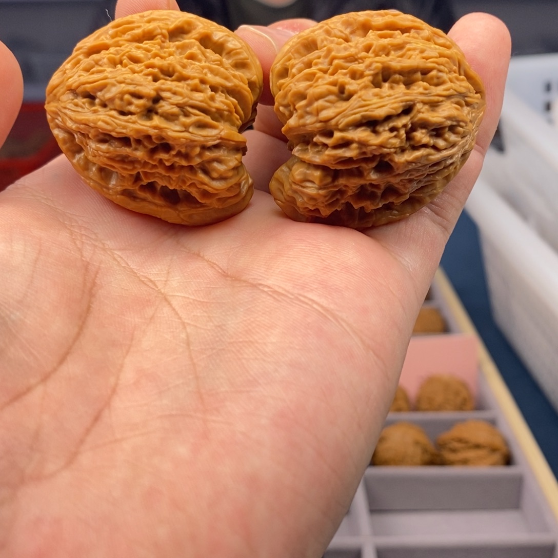 文玩核桃把件全品天使之翼逐鹿一代40