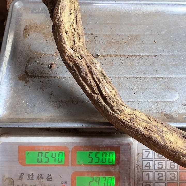 黄花梨/降香黄檀?*海南黄油