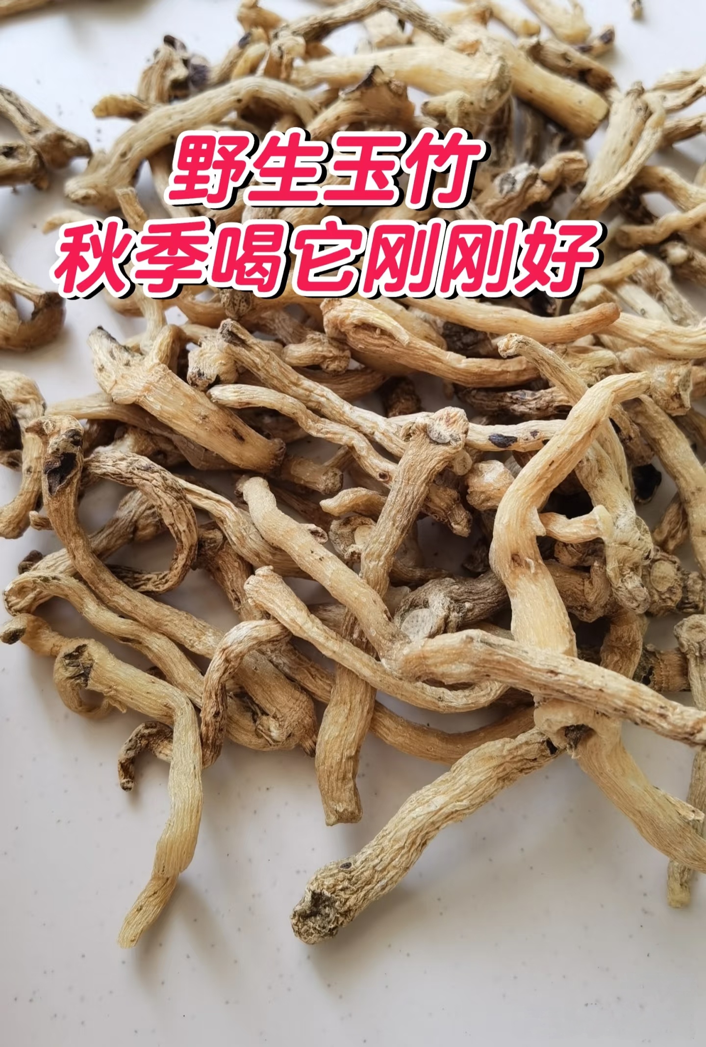 野外采挖，多年生玉竹，甘肃岷县包邮直发