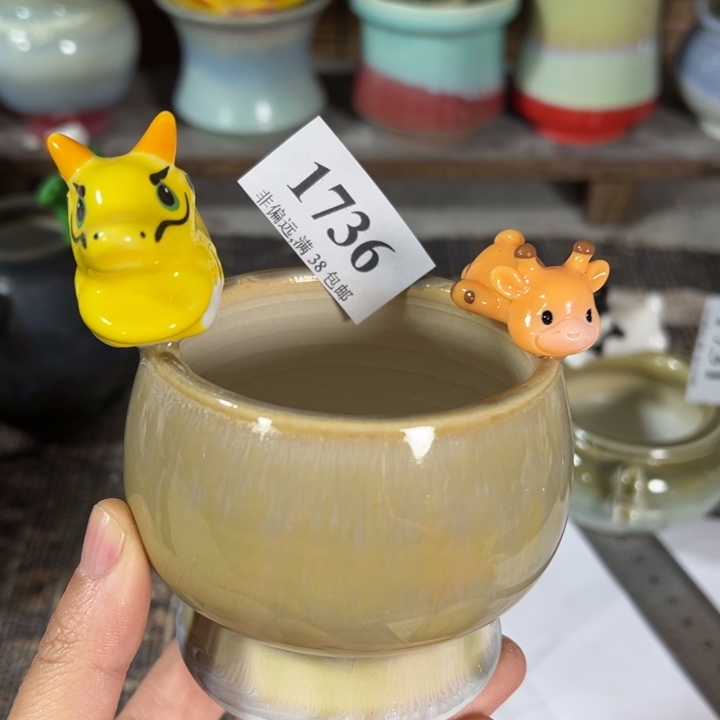 口6高6 …未满30元运费到付