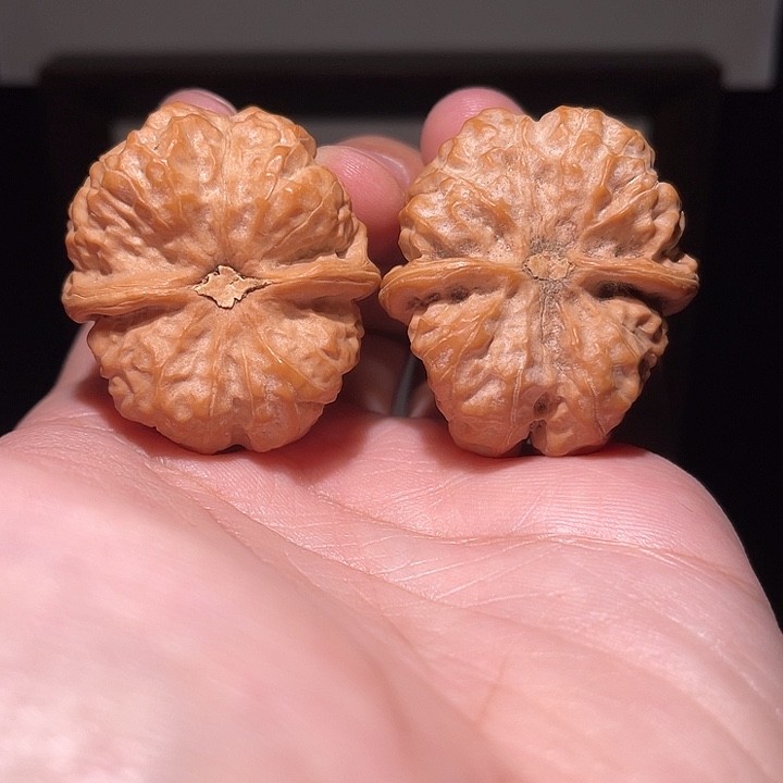 哎***油手串/手链核桃014