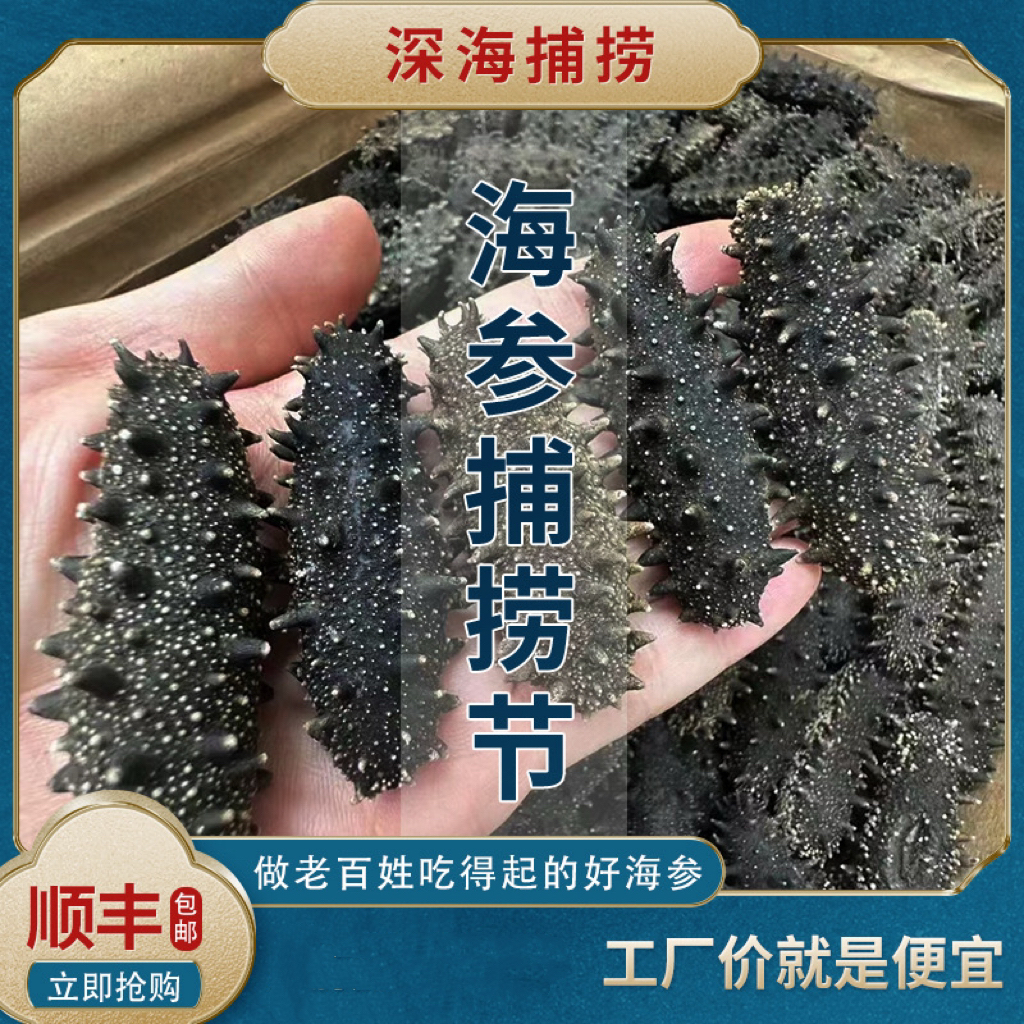 【高泡发纯淡干】60-120头/斤深海优质海参15-16斤