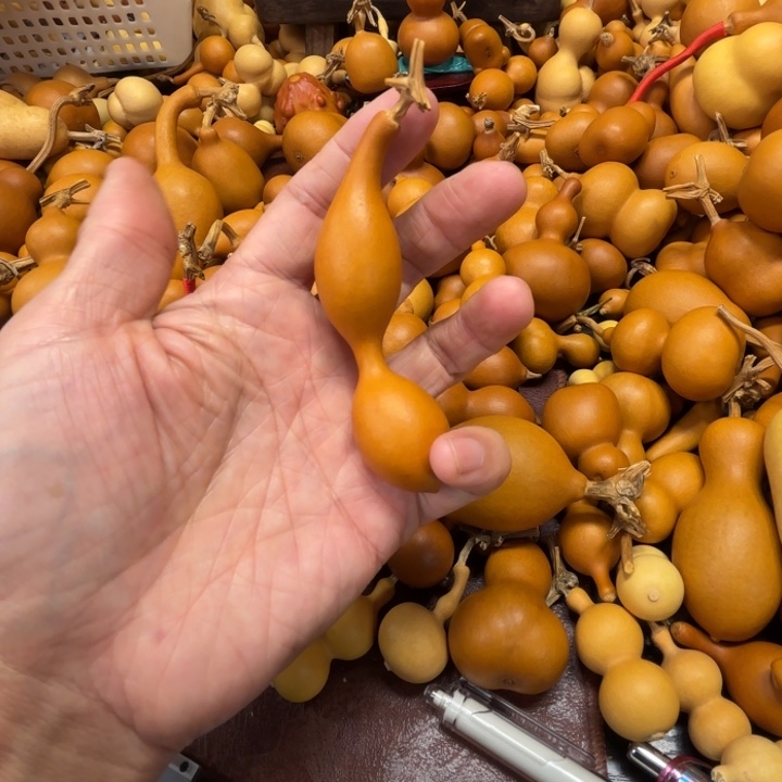 六*士面试的一把蚂蚁葫芦六便士