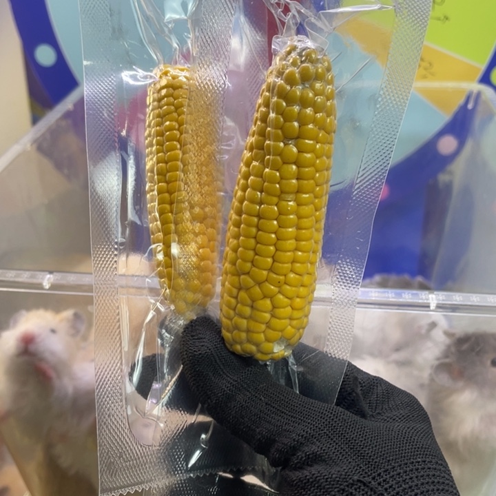 自家烘干金丝熊小零食磨牙玉米鲜食粘苞米真空包装