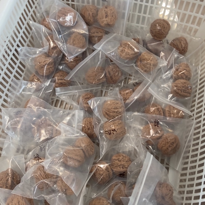 吊坠文玩核桃绣球瑕疵