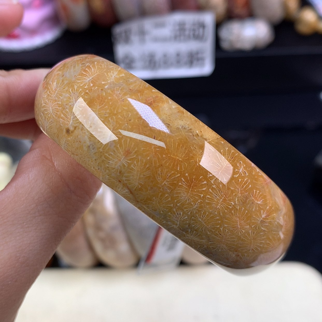 【闪购商品】颈饰未镶嵌硅化珊瑚（珊瑚玉）30号羽毛虫55圈