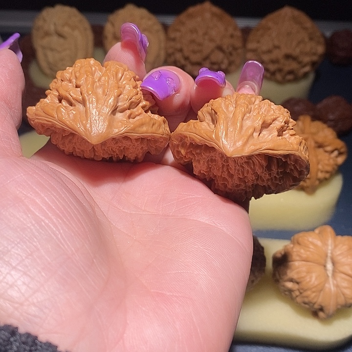 大叶紫檀（黑酸枝木类）