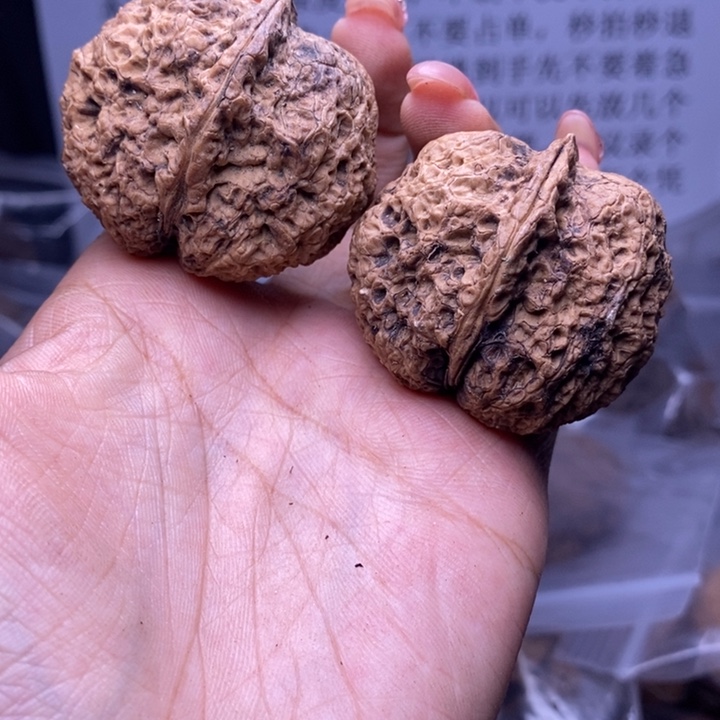 核桃云南野生铁核桃116号43mm