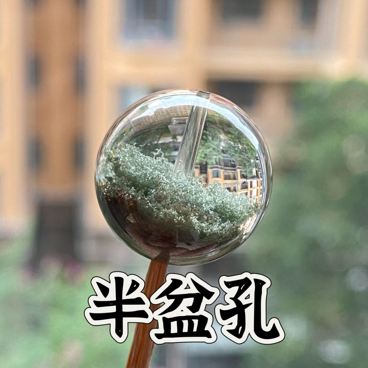 贝格格水晶（直播链接2号）打孔拍此链接-绿幽灵水晶DIY多样性单珠