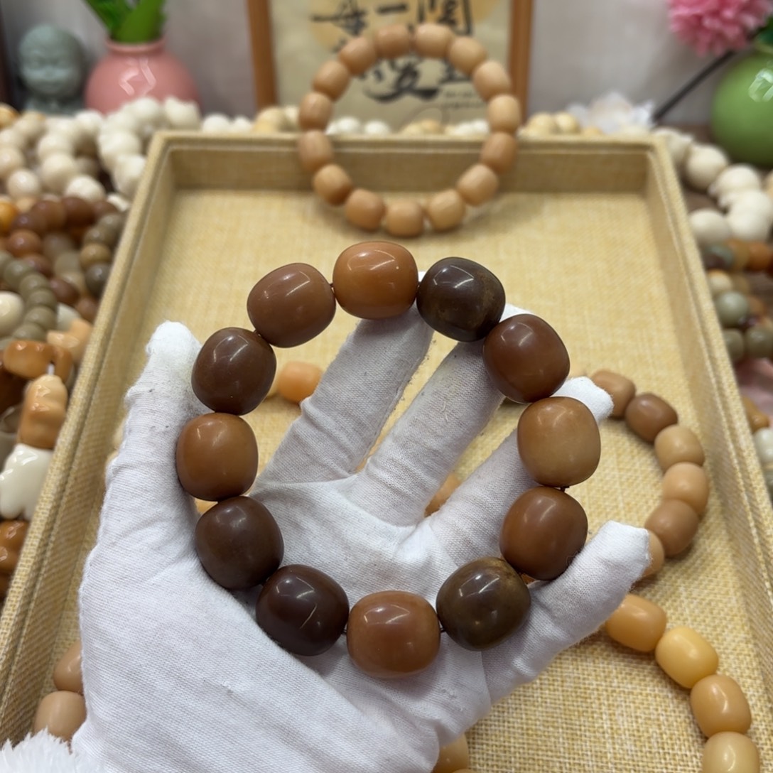 吊坠菩提根/象牙果21干磨瑕疵落地果枣782