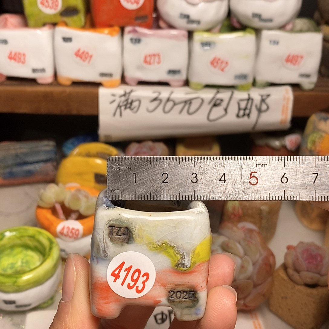 红陶拍5送一个小