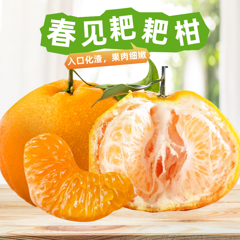 【顺丰礼盒3斤装】四川春见耙耙柑正宗产地直采 过年送礼 坏果包赔
