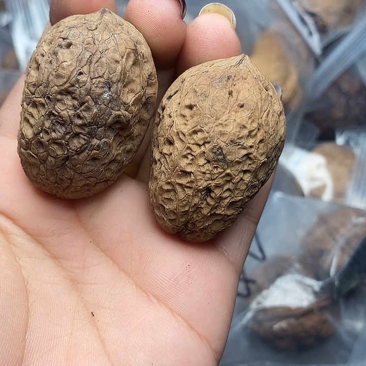 文玩核桃把件60号34mm