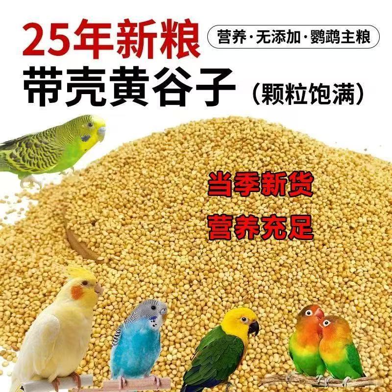 新货带壳黄谷子小米虎皮牡丹玄凤鹦鹉文鸟营养粮鸟食