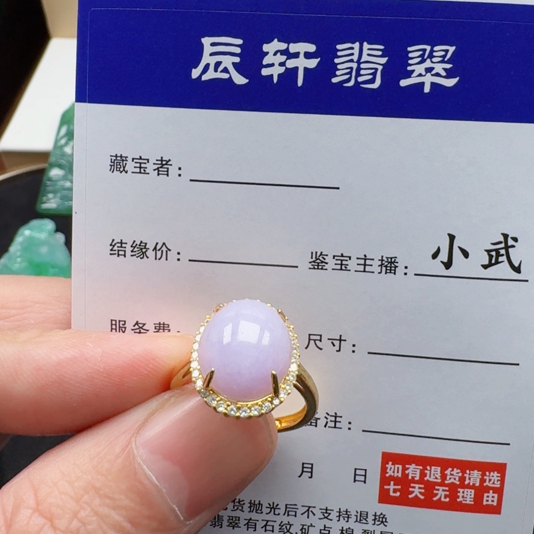 翡翠未镶嵌颈饰           8