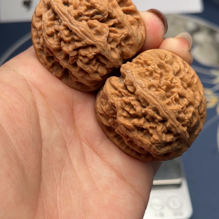 文玩核桃把件粗筋42