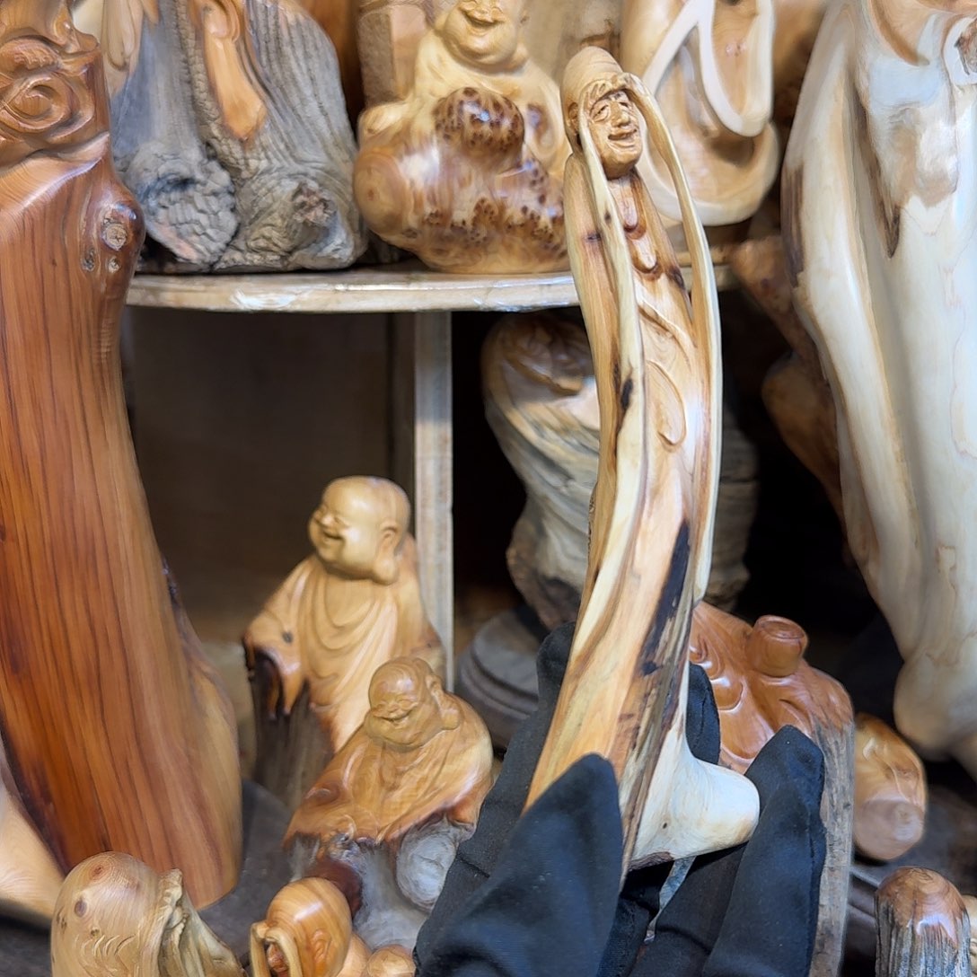 柏木（崖柏）6666666666