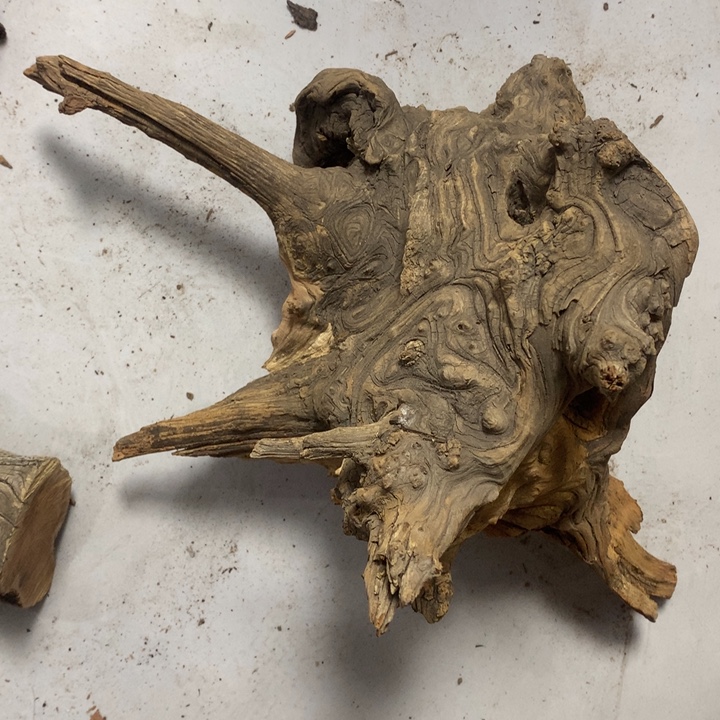 凯***哥无花朵今天晚上在学校吃饭