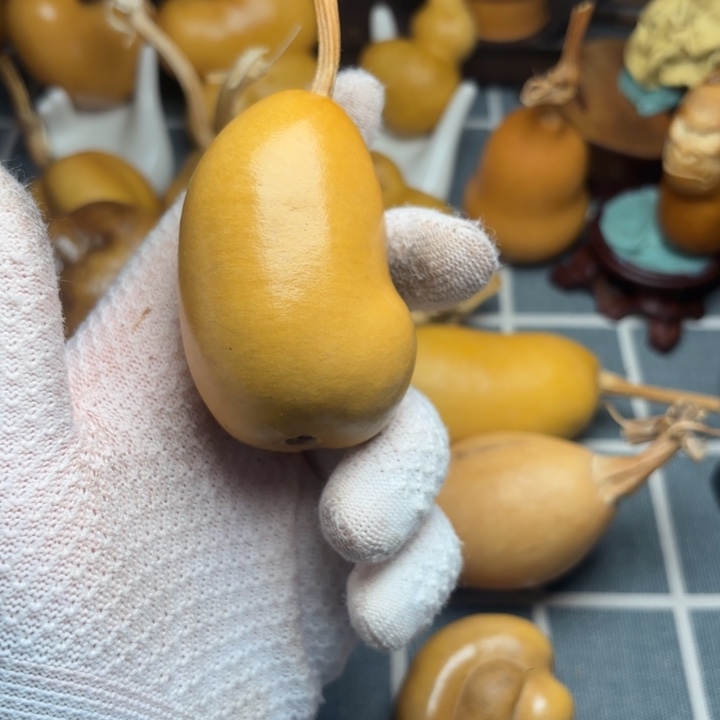 好***哥葫芦霉6666666666666