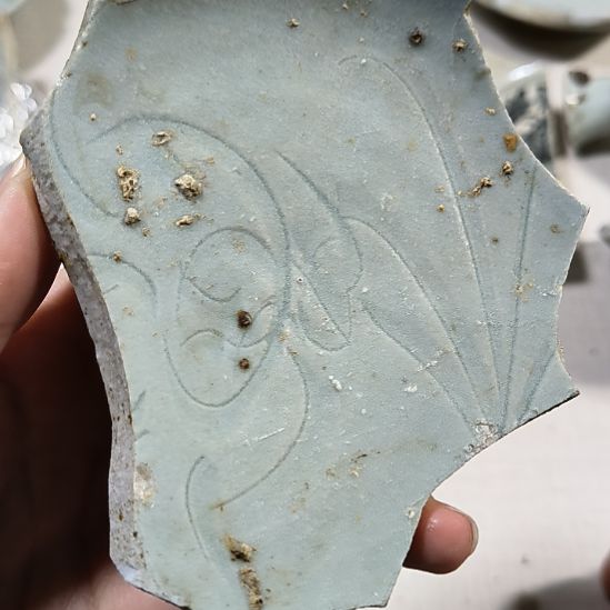 瓷片瓷片瓷片瓷片瓷片