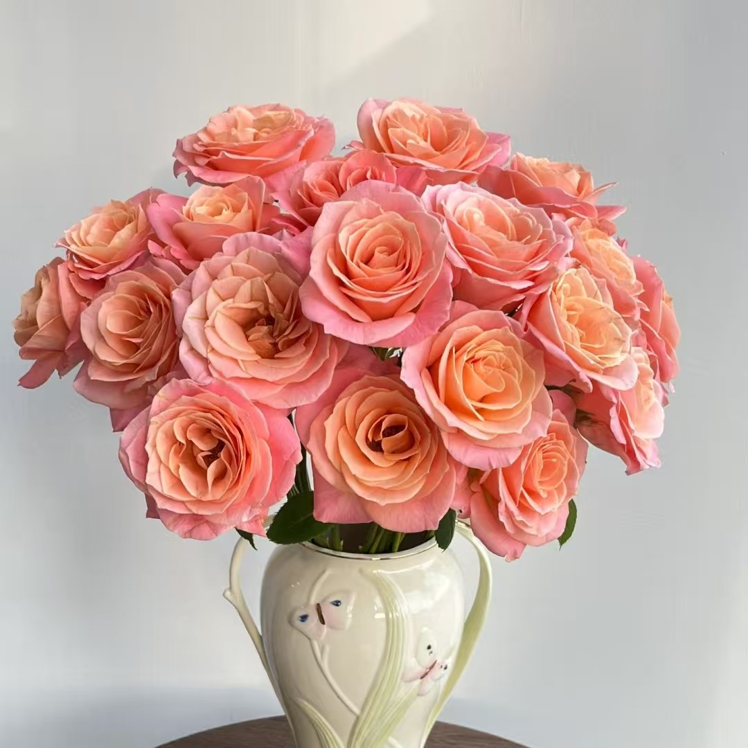 [二丫卖花]朱小姐玫瑰  居家办公优选 （东北基地直发）