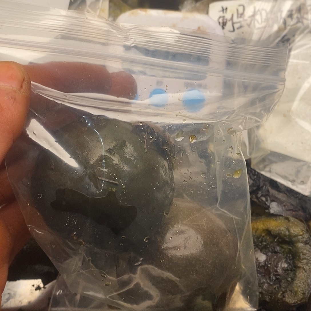 ****莫文玩核桃大骨节病