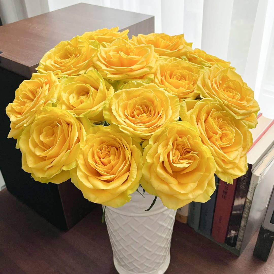 #【月光女神】单头玫瑰 稀有小众鲜切花云南基地直采顺丰直发玫瑰花