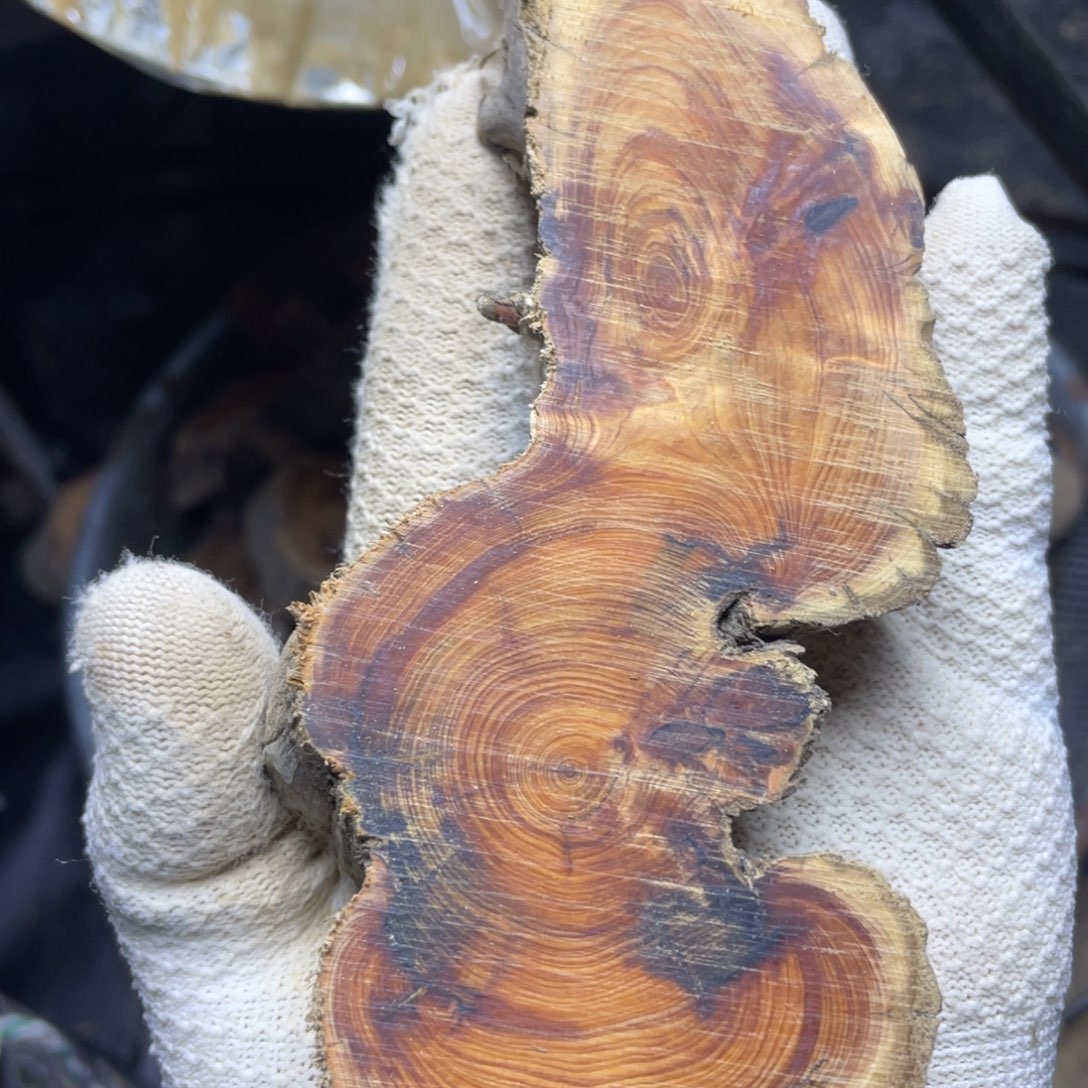 柏木忘*手串等多种