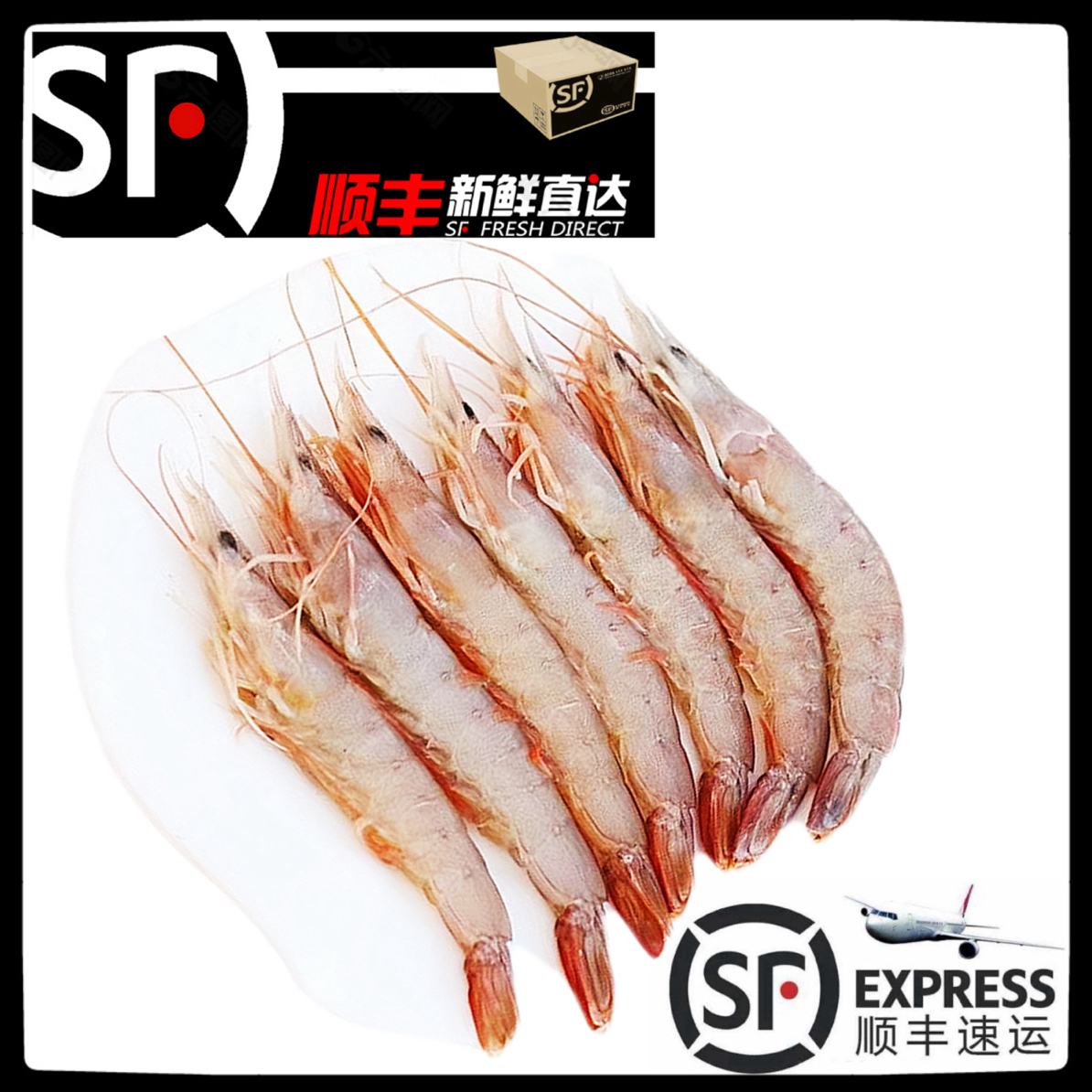 【沙卢虾】惠来神泉港拖网沙卢虾【5盒】野生麻虾纯天然部分带膏脆甜