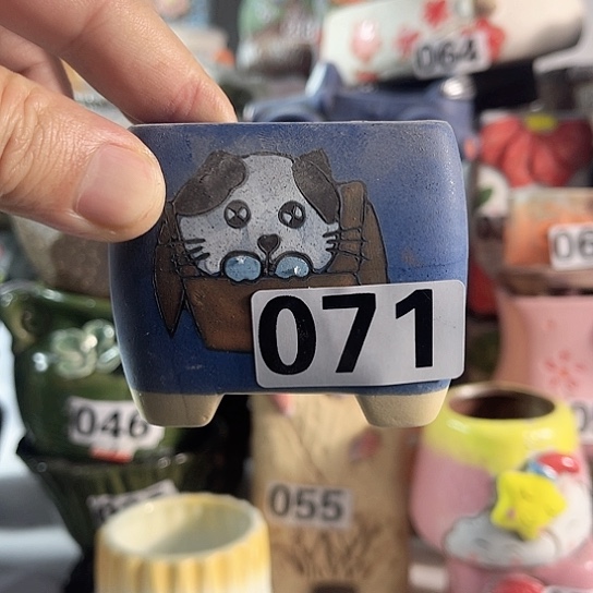 红陶多肉植物花盆