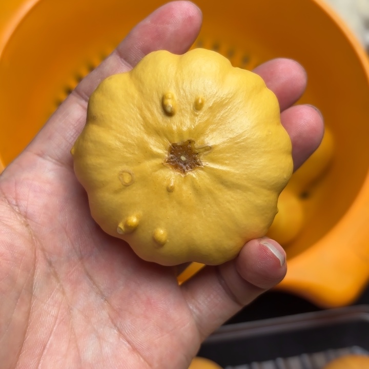 瑕疵福利不退不换