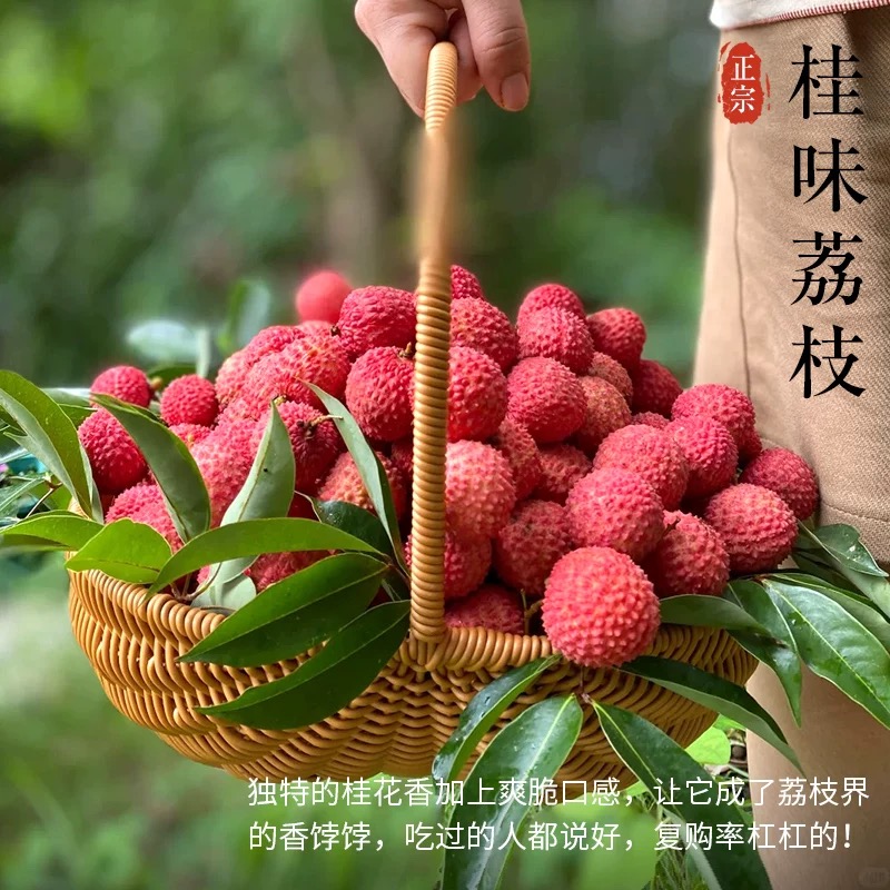 【顺丰冷链】正宗广东桂味荔枝整箱全国多仓发货 现摘精选 5斤装