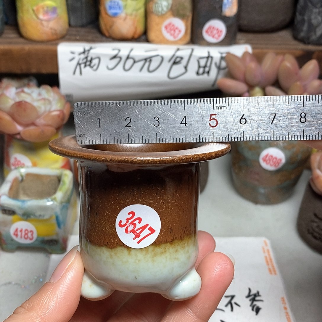 红陶拍5送一个小