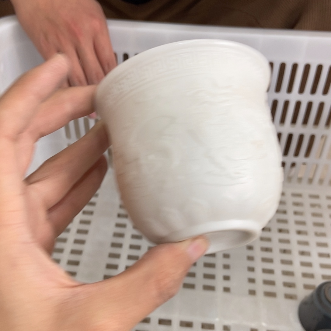 杯直播链接直播链接