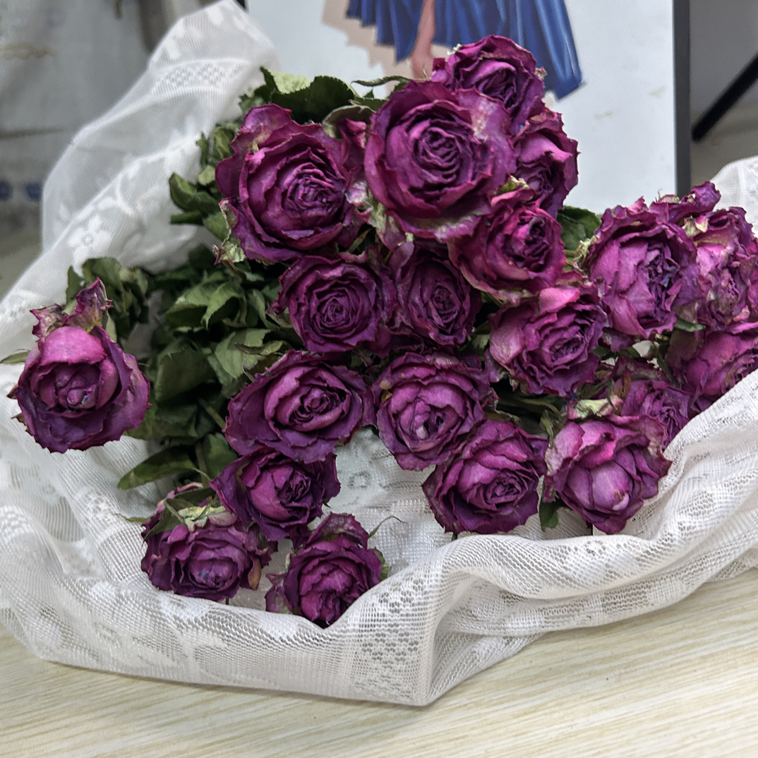 【冷美人】紫色玫瑰花优雅气质干花紫玫瑰