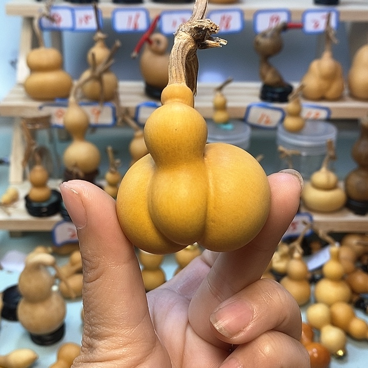 无*直播间手把小葫芦