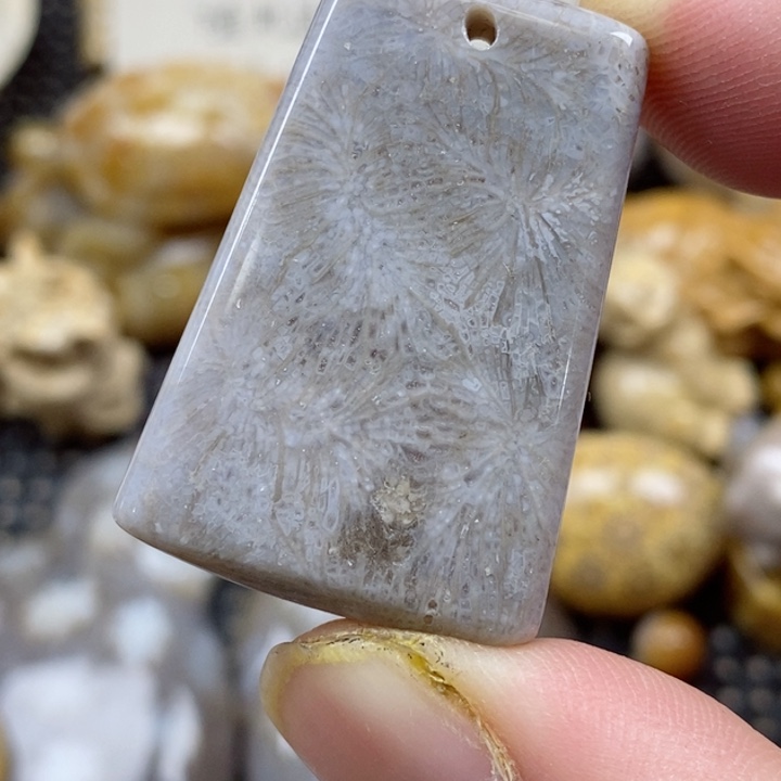 颈饰未镶嵌硅化珊瑚（珊瑚玉）