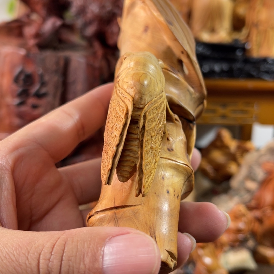 柏木（崖柏）太行山脉88888